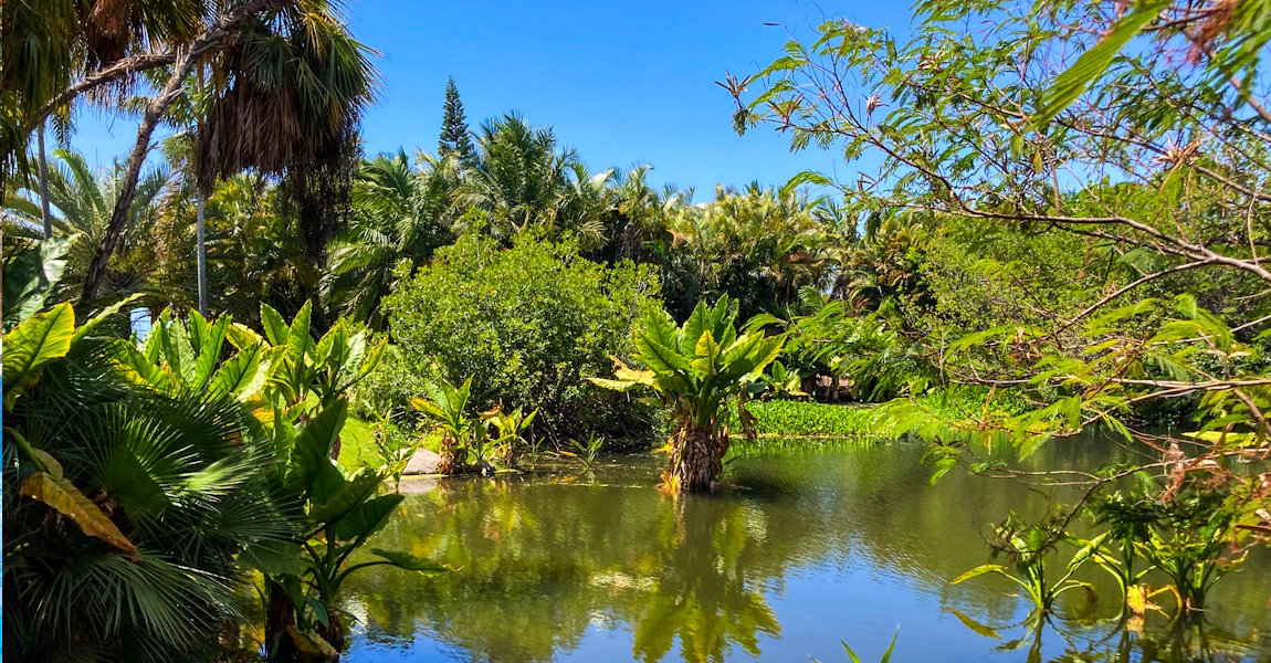 Botanischer Garten in Puerto de la Cruz (Teneriffa)