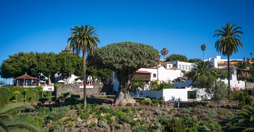 Icod de los Vinos auf Teneriffa